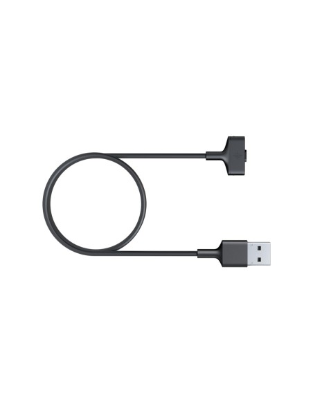 Fitbit FB-164RCC accesorio para registro de la actividad Cable carga Negro