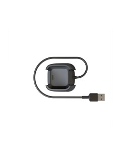 Fitbit FB166RCC accesorio de relojes inteligentes Cable carga Negro
