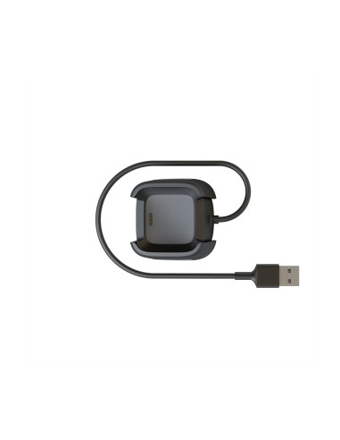 Fitbit FB166RCC accesorio de relojes inteligentes Cable carga Negro