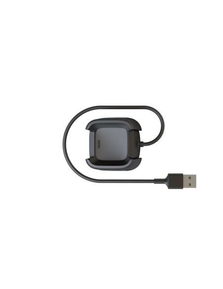 Fitbit FB166RCC accesorio de relojes inteligentes Cable carga Negro