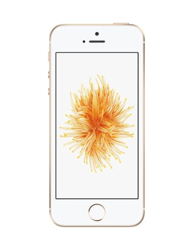 Apple iPhone SE 10,2 cm (4") 32 GB SIM única 4G Oro