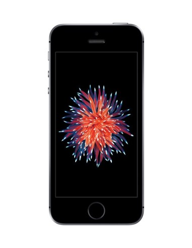 Apple iPhone SE 10,2 cm (4") 32 GB SIM única 4G Gris