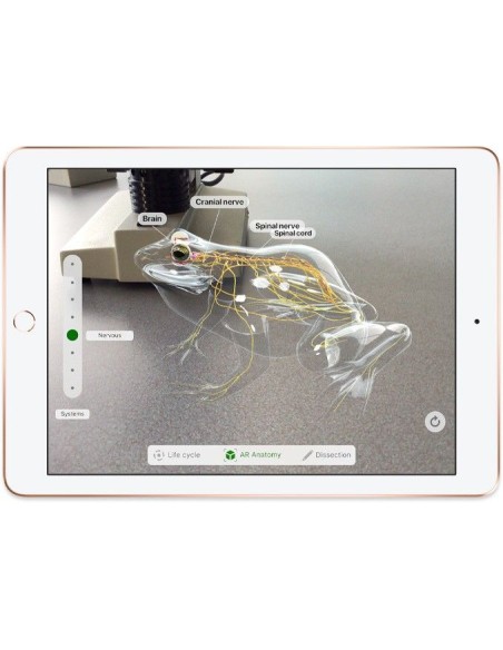 Apple iPad tablet A10 32 GB Oro