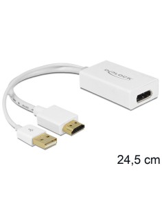 DeLOCK 62496 adaptador de cable HDMI-A, USB-A Displayport Blanco