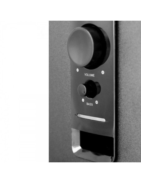 Woxter Big Bass 110 altavoz 20 W Negro