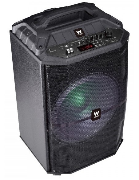 Woxter Rock'n'Roller XL De 1 vía