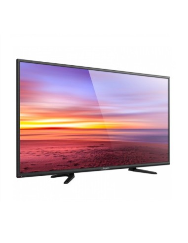 Engel Axil LE4055 TV 101,6 cm (40") Full HD Negro