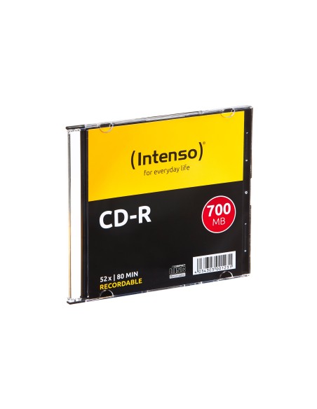 Intenso INT-1001622