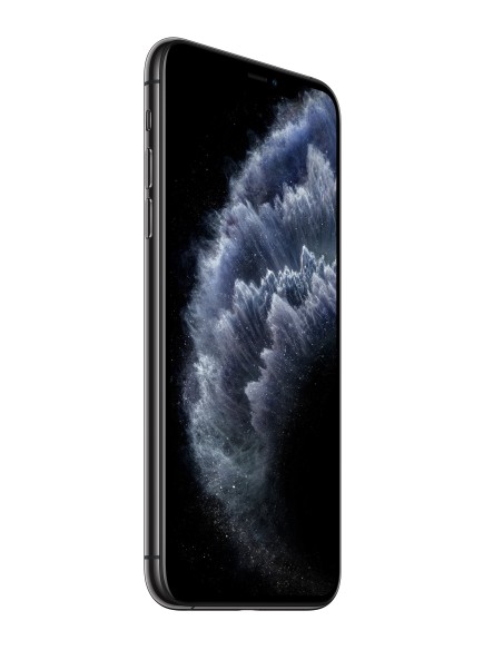 Apple iPhone 11 Pro Max 16,5 cm (6.5") 64 GB SIM doble Gris