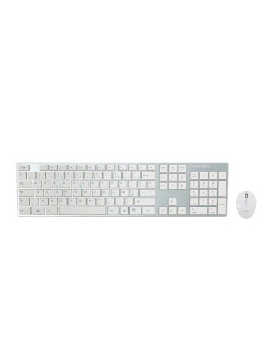 Bluestork BS-PACK-EASY-II F teclado USB Plata, Blanco