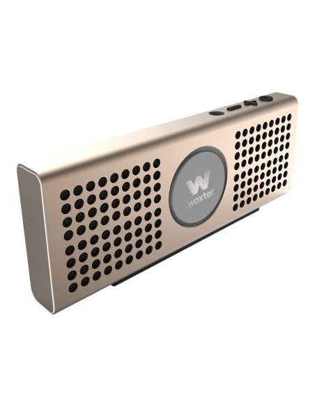 Woxter BIG BASS BT-20 10 W Altavoz portátil estéreo Oro
