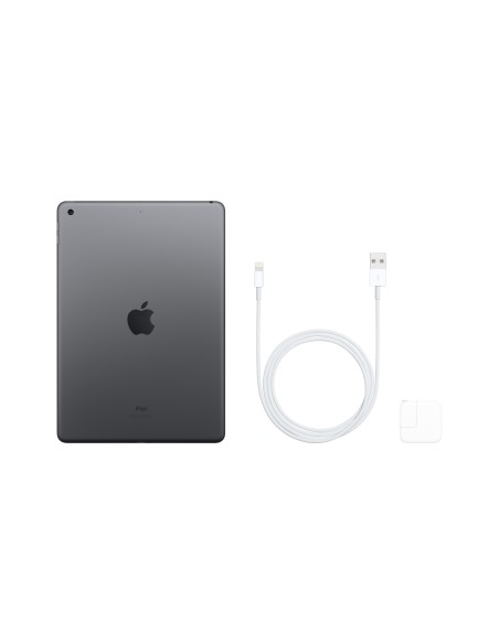 Apple iPad 32 GB Gris