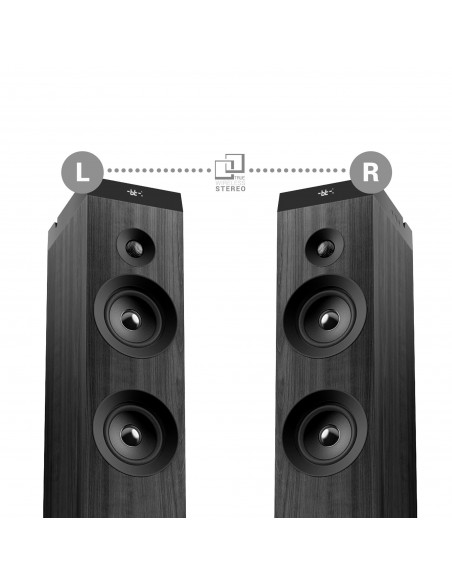 Energy Sistem 446407 altavoz 100 W Negro Inalámbrico y alámbrico