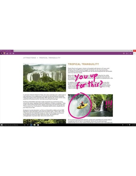 Microsoft Windows 10 Professional