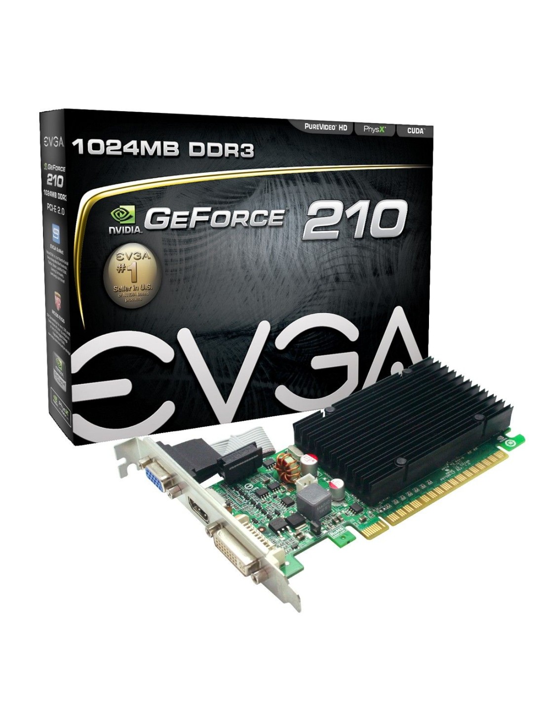federación Empeorando portugués EVGA 01G-P3-1313-KR tarjeta gráfica NVIDIA GeForce 210 1 GB GDDR3