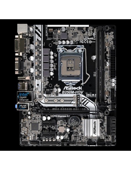 Asrock B250M-HDV Intel® B250 LGA 1151 (Zócalo H4) micro ATX