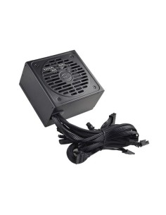 EVGA 450 BV unidad de fuente de alimentación 450 W 20+4 pin ATX ATX Negro
