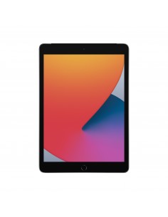 Apple iPad 4G LTE 128 GB 25,9 cm (10.2") Wi-Fi 5 (802.11ac) iPadOS Gris