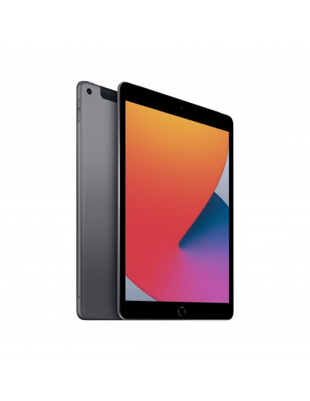 Apple iPad 4G LTE 128 GB 25,9 cm (10.2") Wi-Fi 5 (802.11ac) iPadOS Gris