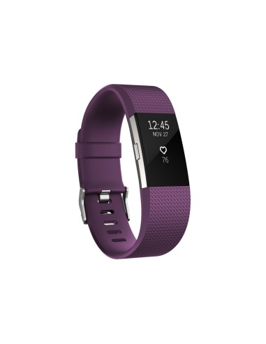 Fitbit Charge 2 OLED Pulsera de actividad Violeta
