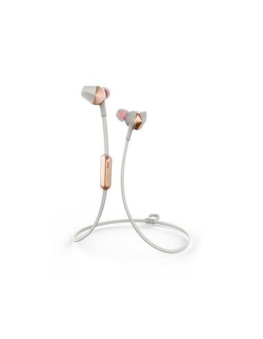 Fitbit Flyer Auriculares Dentro de oído MicroUSB Bluetooth Oro, Gris
