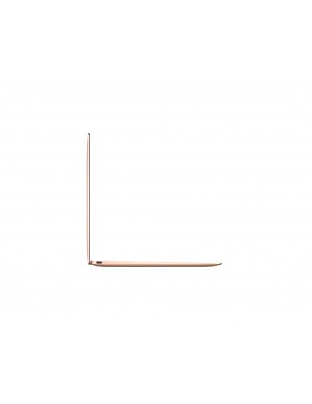 Apple MacBook LPDDR3-SDRAM Portátil 30,5 cm (12") 2304 x 1440 Pixeles 7ª generación de procesadores Intel® Core™ m3 8 GB 256 GB