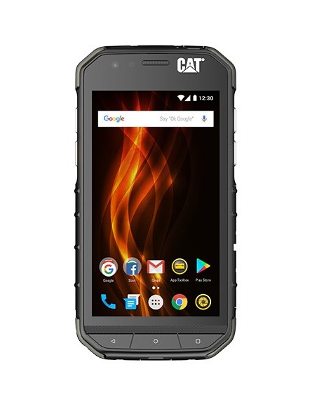 CAT S31 11,9 cm (4.7") 4G MicroUSB 2 GB 16 GB 4000 mAh Negro