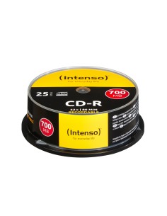 Intenso INT-1001124