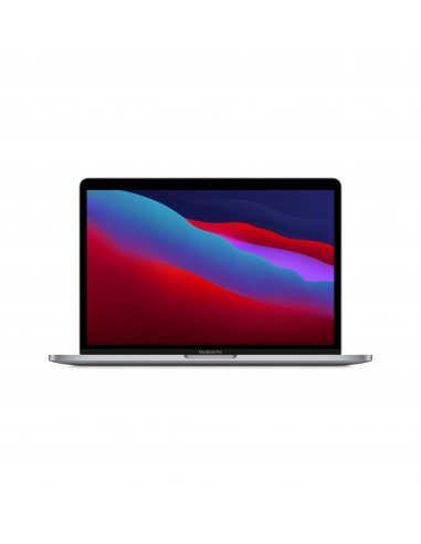 Apple MacBook Pro Portátil 33,8 cm (13.3") 2560 x 1600 Pixeles Apple M 8 GB 256 GB SSD Wi-Fi 6 (802.11ax) macOS Big Sur Gris