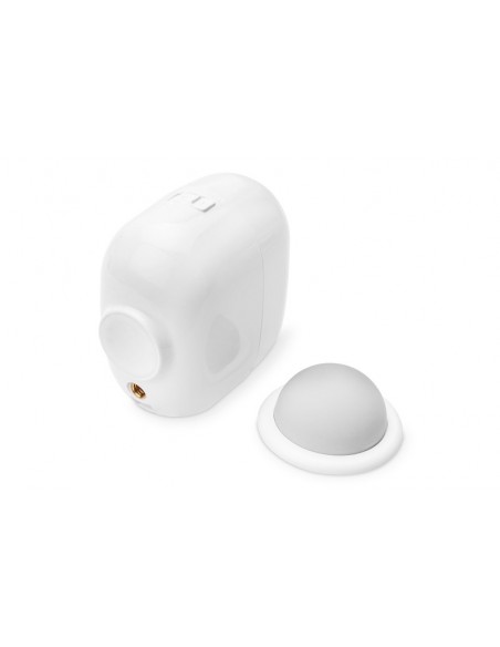 Digitus DN-18600 cámara de vigilancia Cámara de seguridad IP Exterior Bala 1920 x 1080 Pixeles Pared