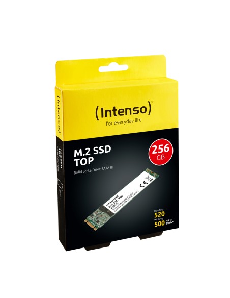 Intenso Top Performance M.2 256 GB Serial ATA III