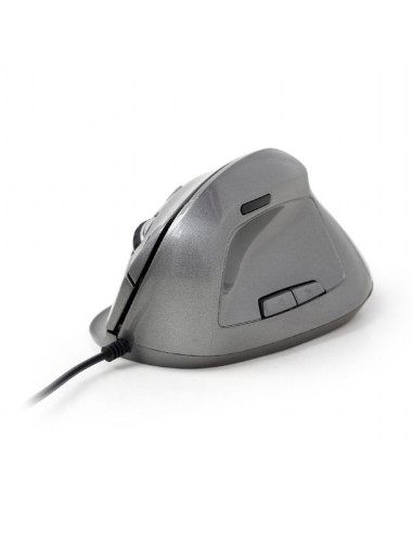 Gembird MUS-ERGO-02 ratón mano derecha USB tipo A Óptico 2400 DPI