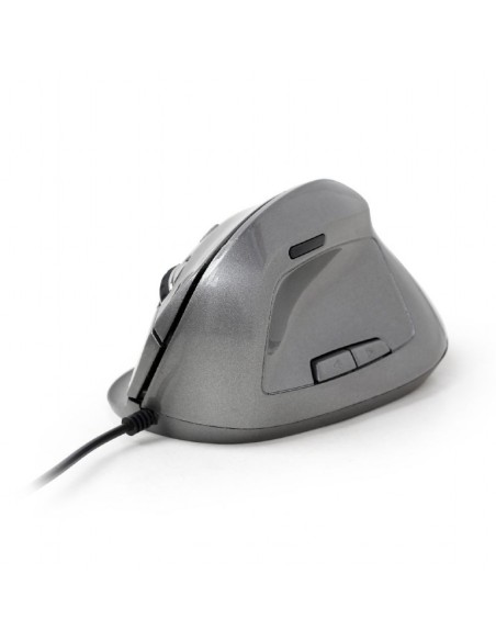 Gembird MUS-ERGO-02 ratón mano derecha USB tipo A Óptico 2400 DPI