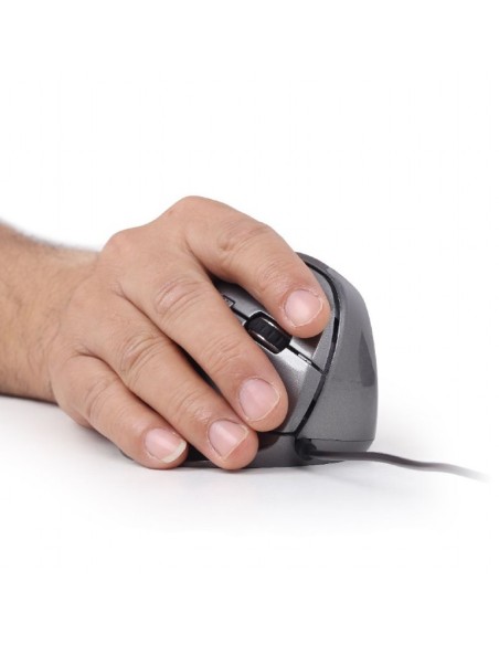Gembird MUS-ERGO-02 ratón mano derecha USB tipo A Óptico 2400 DPI