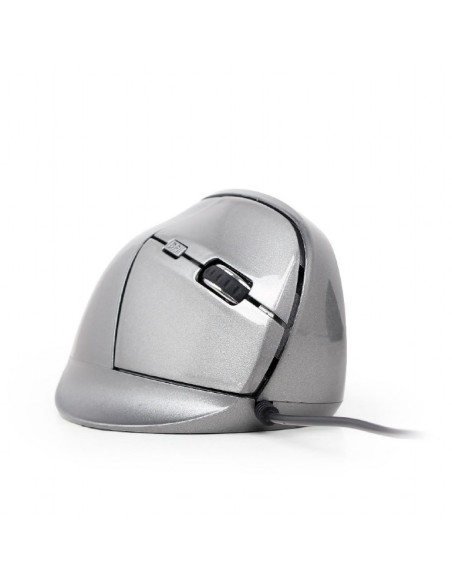 Gembird MUS-ERGO-02 ratón mano derecha USB tipo A Óptico 2400 DPI
