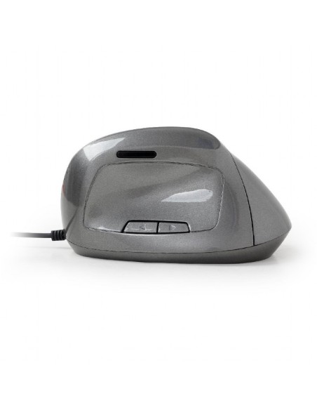 Gembird MUS-ERGO-02 ratón mano derecha USB tipo A Óptico 2400 DPI