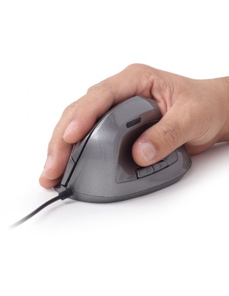 Gembird MUS-ERGO-02 ratón mano derecha USB tipo A Óptico 2400 DPI