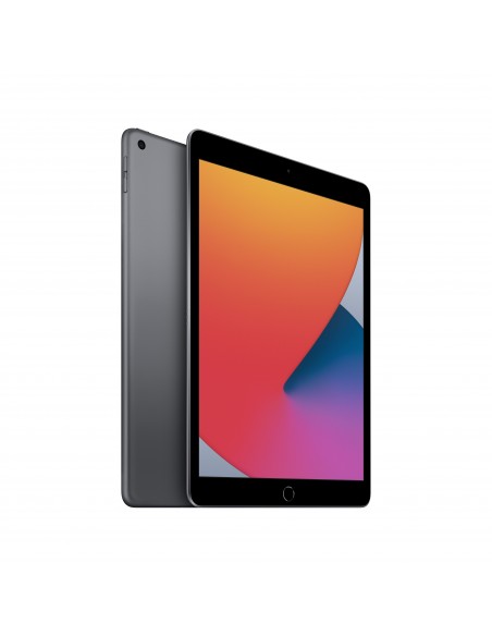 Apple iPad 32 GB 25,9 cm (10.2") Wi-Fi 5 (802.11ac) iPadOS Gris