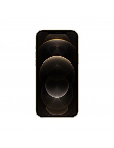 Apple iPhone 12 Pro Max 17 cm (6.7") SIM doble iOS 14 5G 256 GB Oro