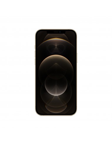 Apple iPhone 12 Pro Max 17 cm (6.7") SIM doble iOS 14 5G 256 GB Oro