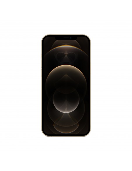 Apple iPhone 12 Pro Max 17 cm (6.7") SIM doble iOS 14 5G 256 GB Oro