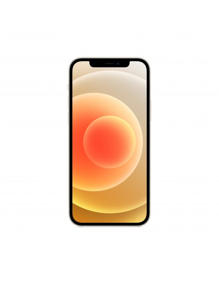 Apple iPhone 12 15,5 cm (6.1") SIM doble iOS 14 5G 256 GB Blanco