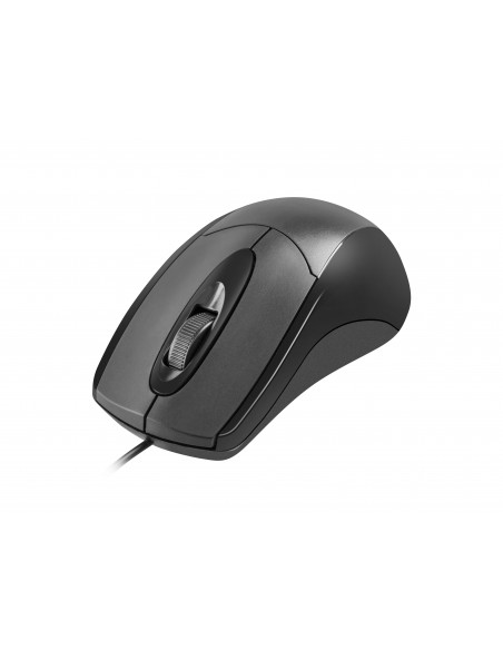 NATEC Ruff ratón Ambidextro USB tipo A Óptico 1000 DPI