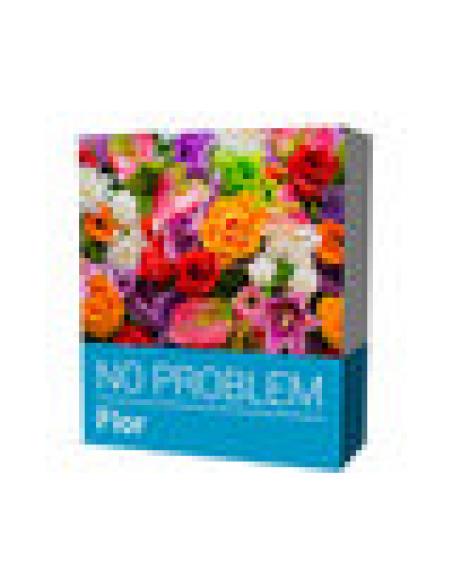 TPV SOFTWARE NO PROBLEM FLOR - Imagen 3